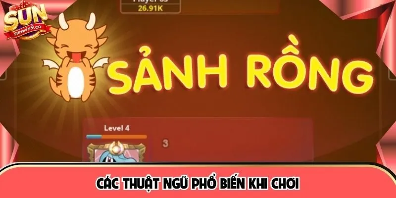 Các thuật ngữ phổ biến khi chơi